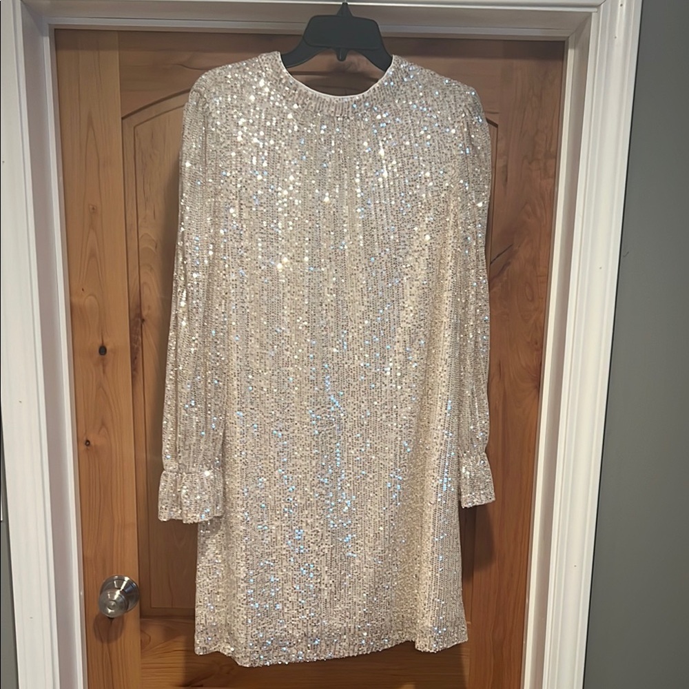 Julia Jordan Ivory/Silver Sequin Dress